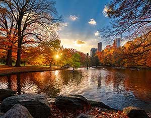 高地公园(High Park)